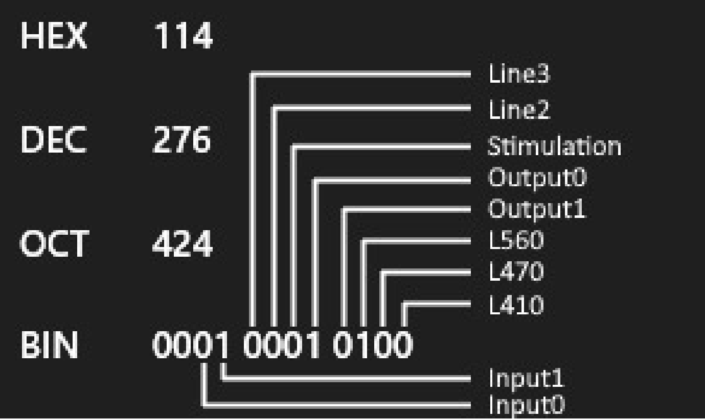 rawdata